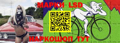 индика Можга
