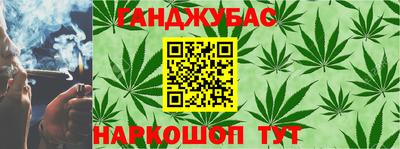 индика Можга