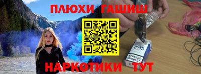 индика Можга