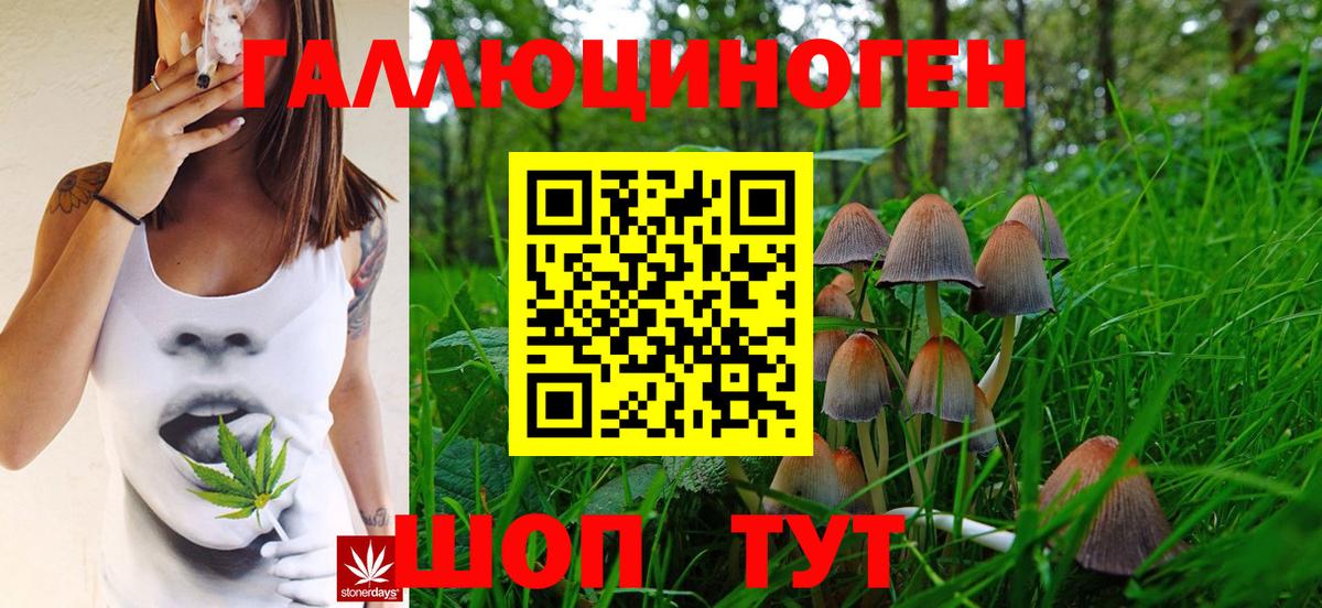 Псилоцибиновые грибы GOLDEN TEACHER  Галлюциногенные грибы прущие грибы  Уссурийск  Вход с VPN 